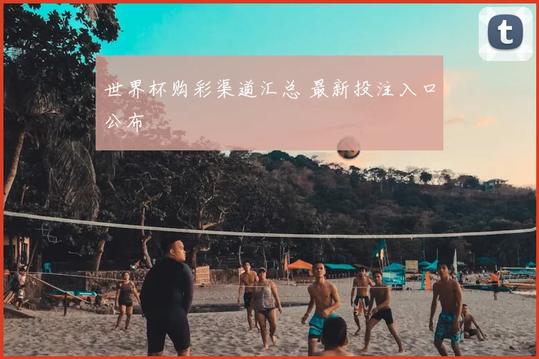 世界杯购彩渠道汇总 最新投注入口公布