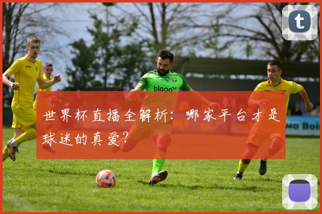 世界杯直播全解析:哪家平台才是球迷的真爱?