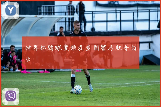 世界杯赌球案频发多国警方联手打击