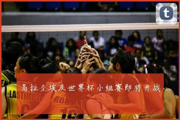 乌拉圭埃及世界杯小组赛即将开战