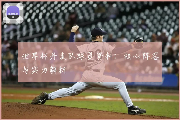 世界杯丹麦队球员资料:核心阵容与实力解析