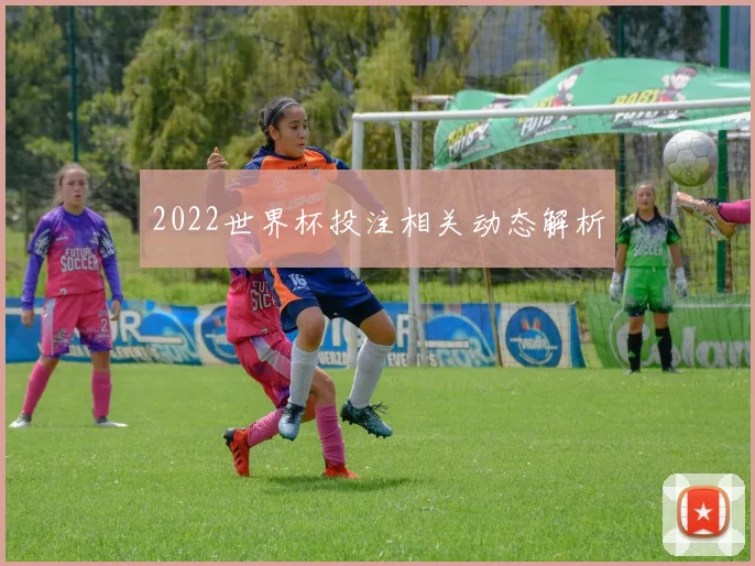 2022世界杯投注相关动态解析