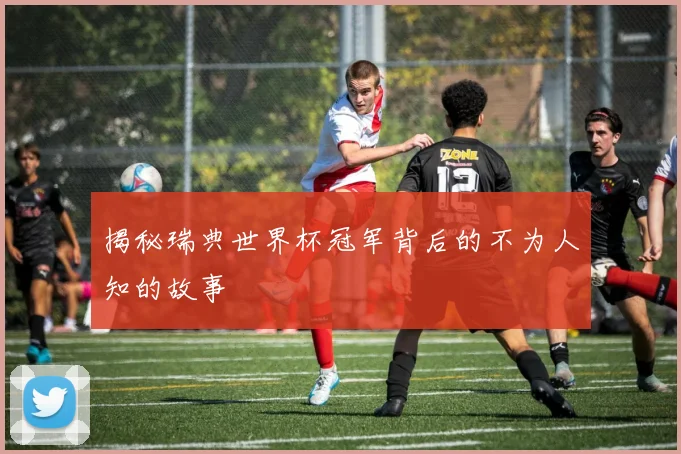 揭秘瑞典世界杯冠军背后的不为人知的故事