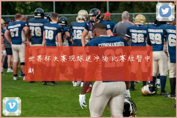 世界杯决赛现球迷冲场 比赛短暂中断