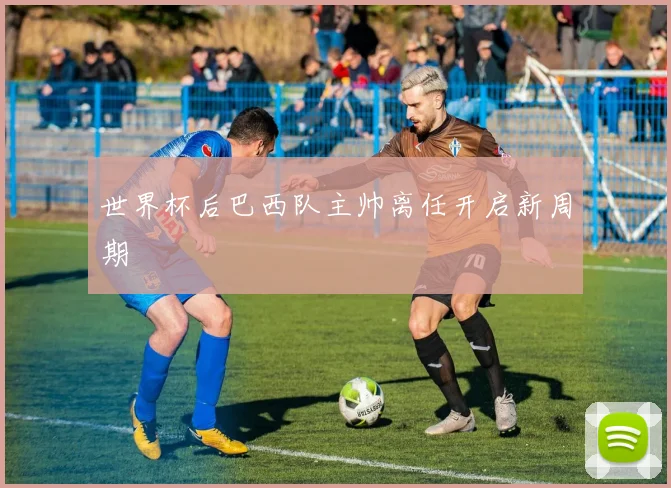 世界杯后巴西队主帅离任开启新周期
