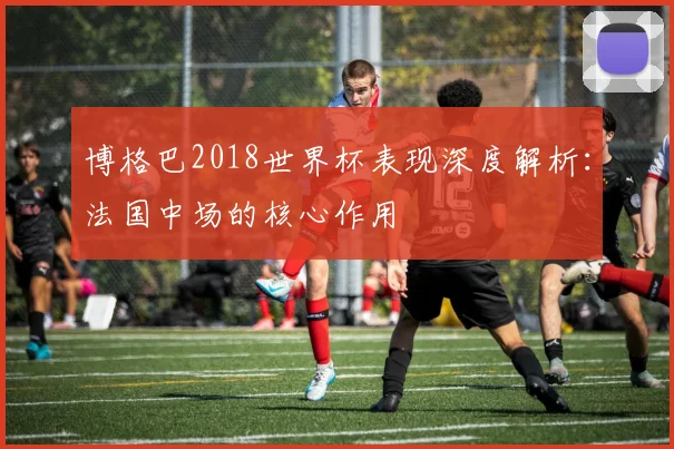 博格巴2018世界杯表现深度解析：法国中场的核心作用