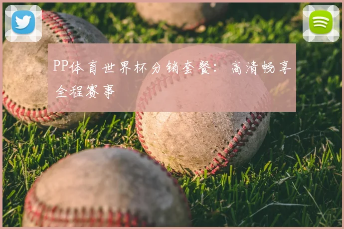 PP体育世界杯分销套餐:高清畅享全程赛事