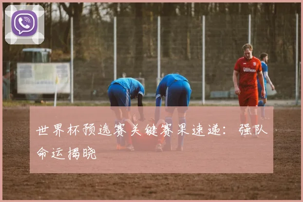 世界杯预选赛关键赛果速递:强队命运揭晓
