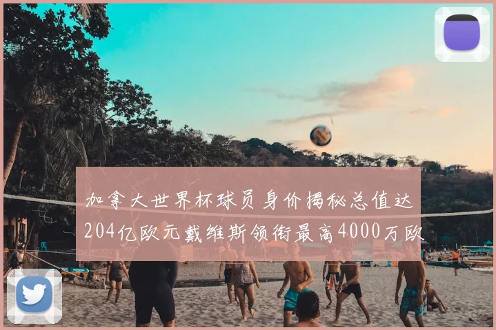 加拿大世界杯球员身价揭秘总值达204亿欧元戴维斯领衔最高4000万欧