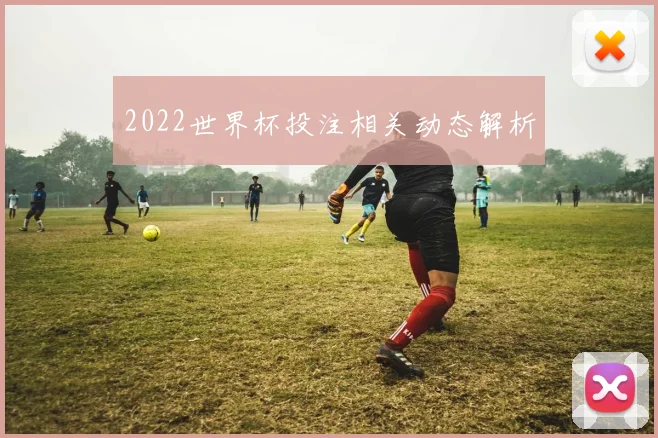 2022世界杯投注相关动态解析