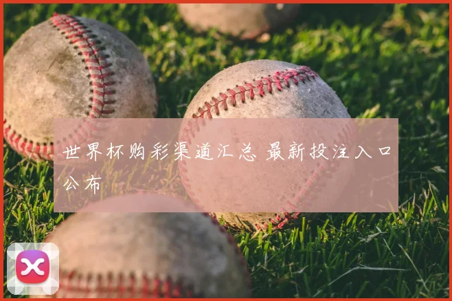 世界杯购彩渠道汇总 最新投注入口公布